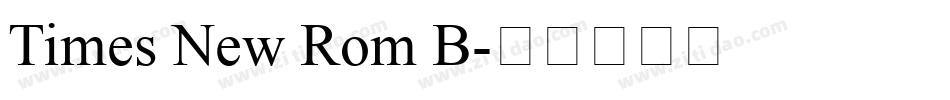 Times New Rom B字体转换